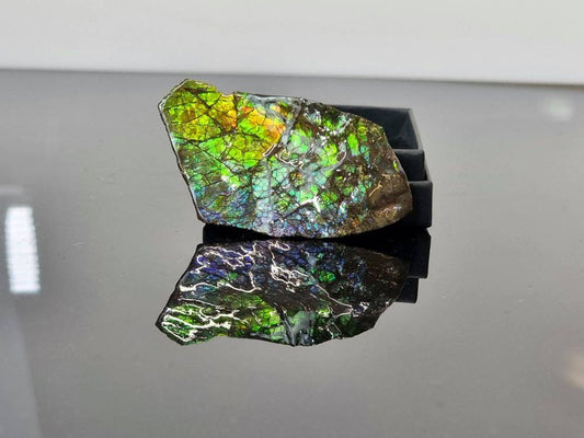 ammolite crystal gemstone canada