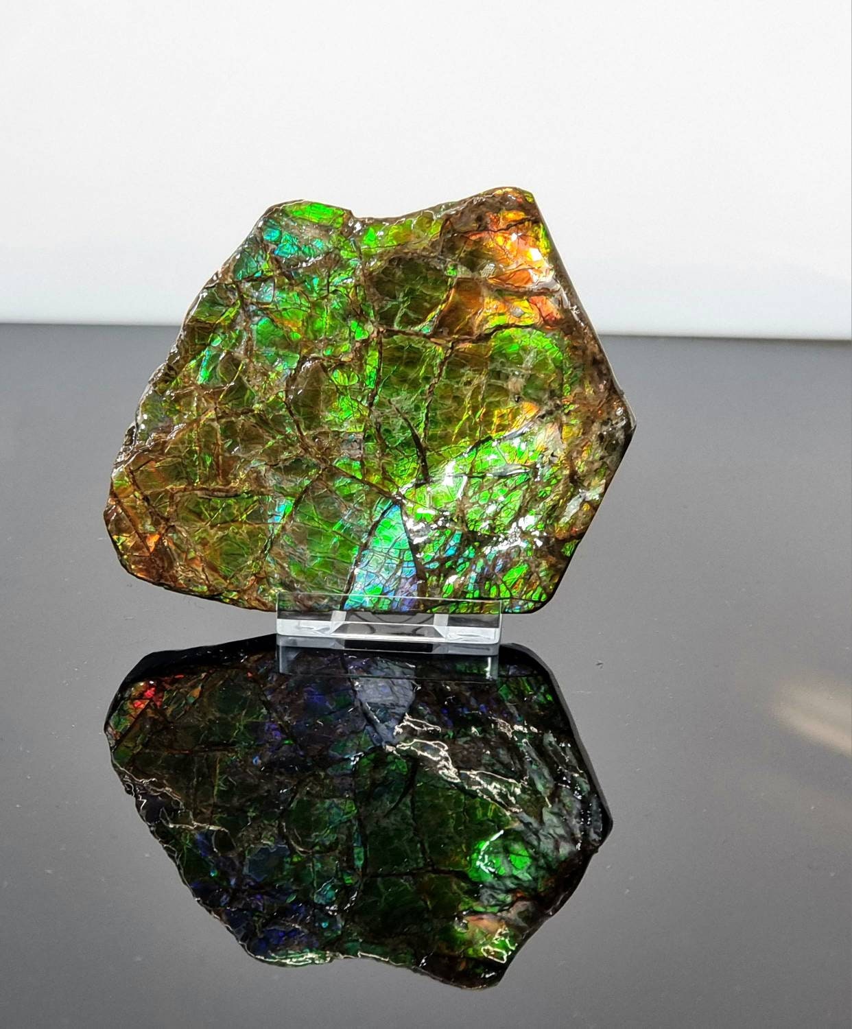 large ammolite crystal gemstone canada