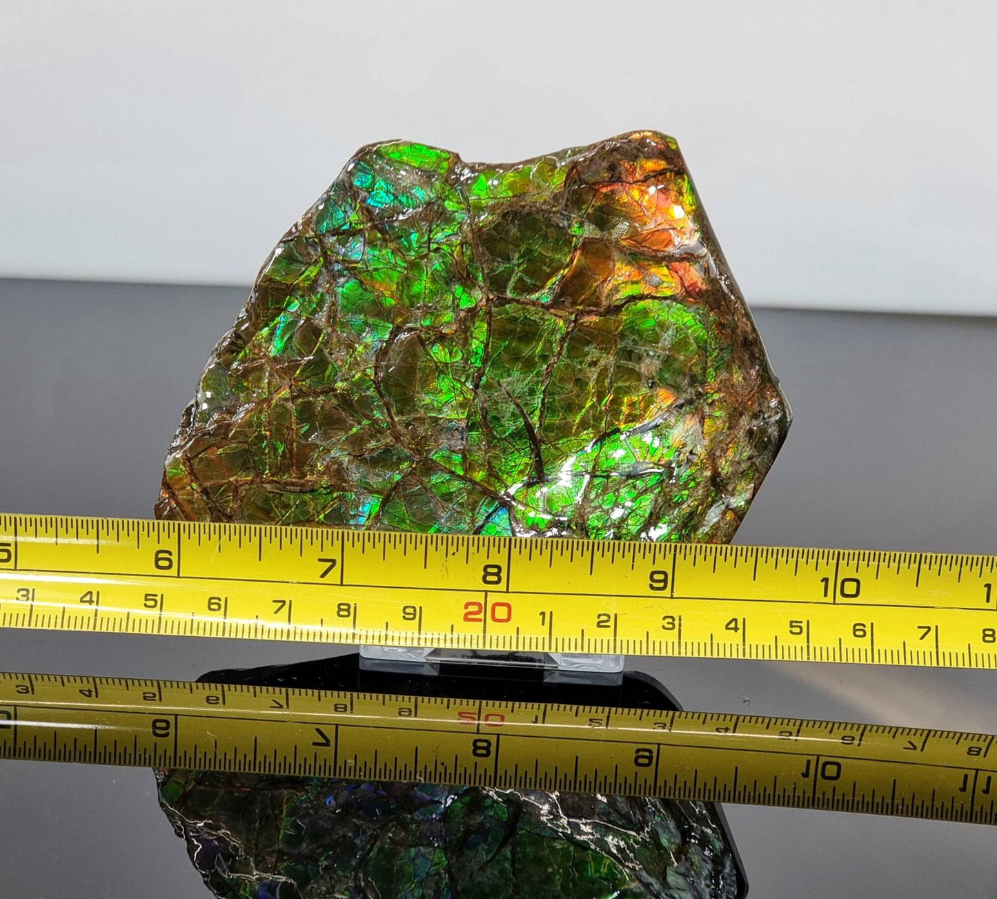 21ap) Ammolite Crystal Gemstone