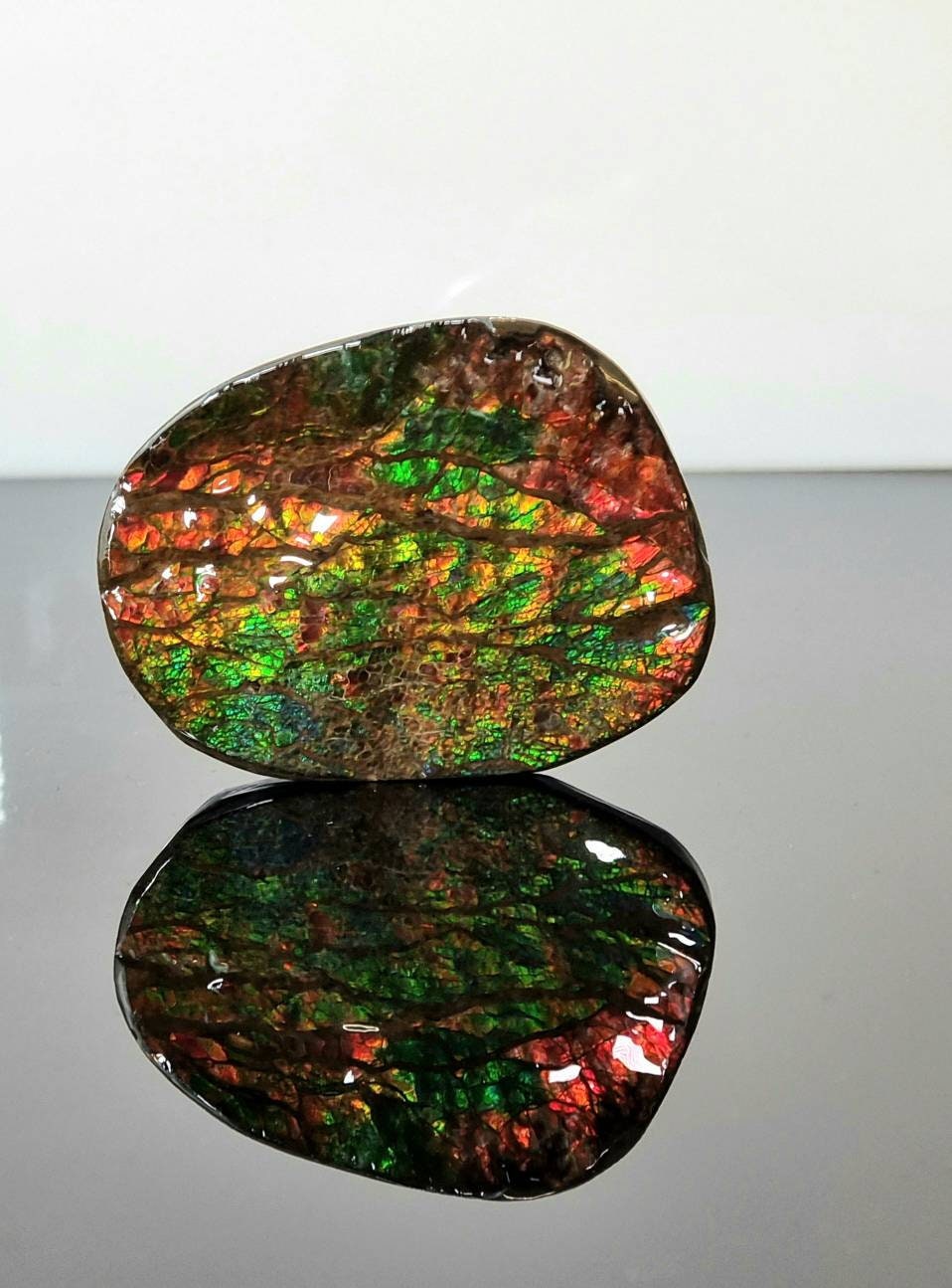 ammolite crystal gemstone canada