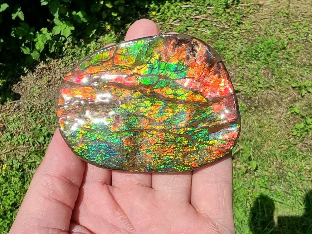 19ap) Ammolite Crystal Gemstone