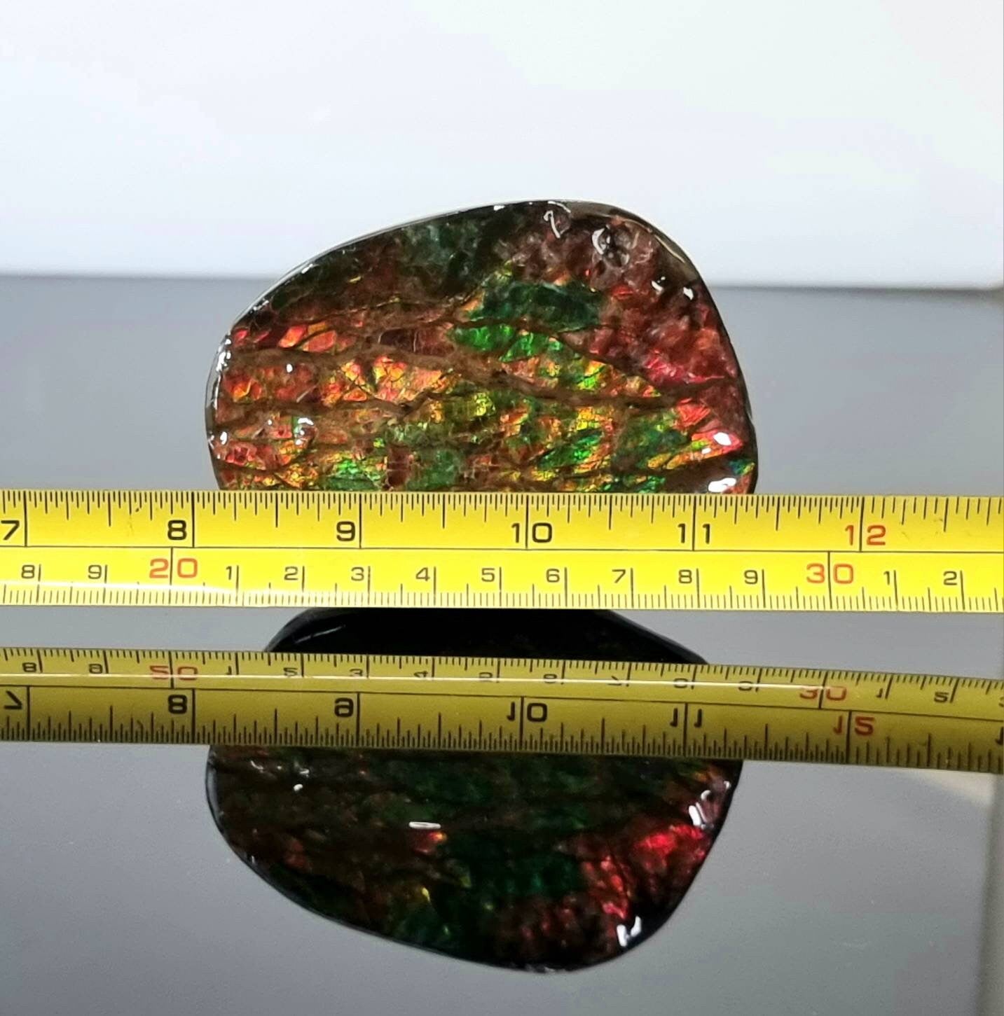 19ap) Ammolite Crystal Gemstone