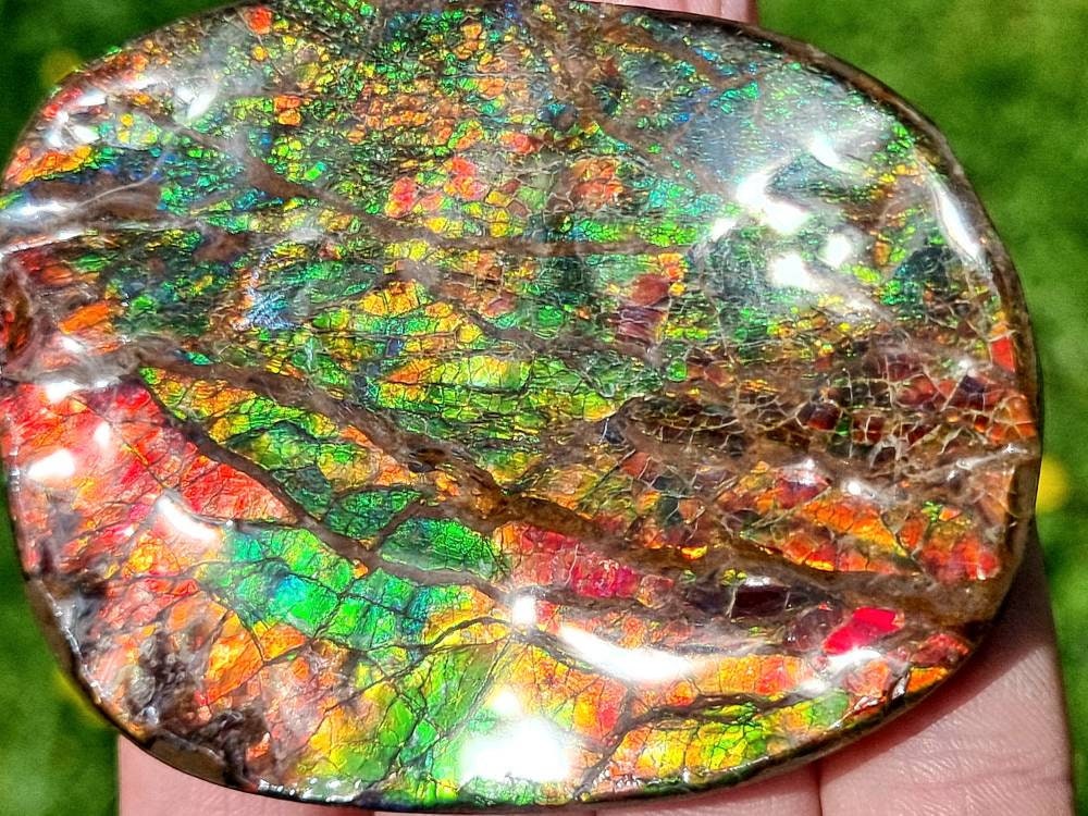 19ap) Ammolite Crystal Gemstone