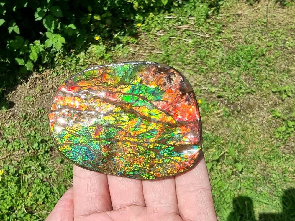 19ap) Ammolite Crystal Gemstone