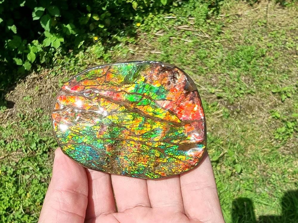 19ap) Ammolite Crystal Gemstone