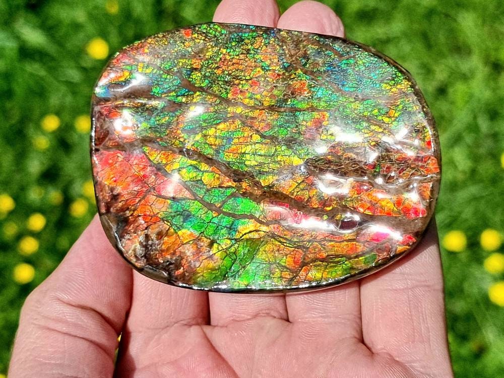 19ap) Ammolite Crystal Gemstone