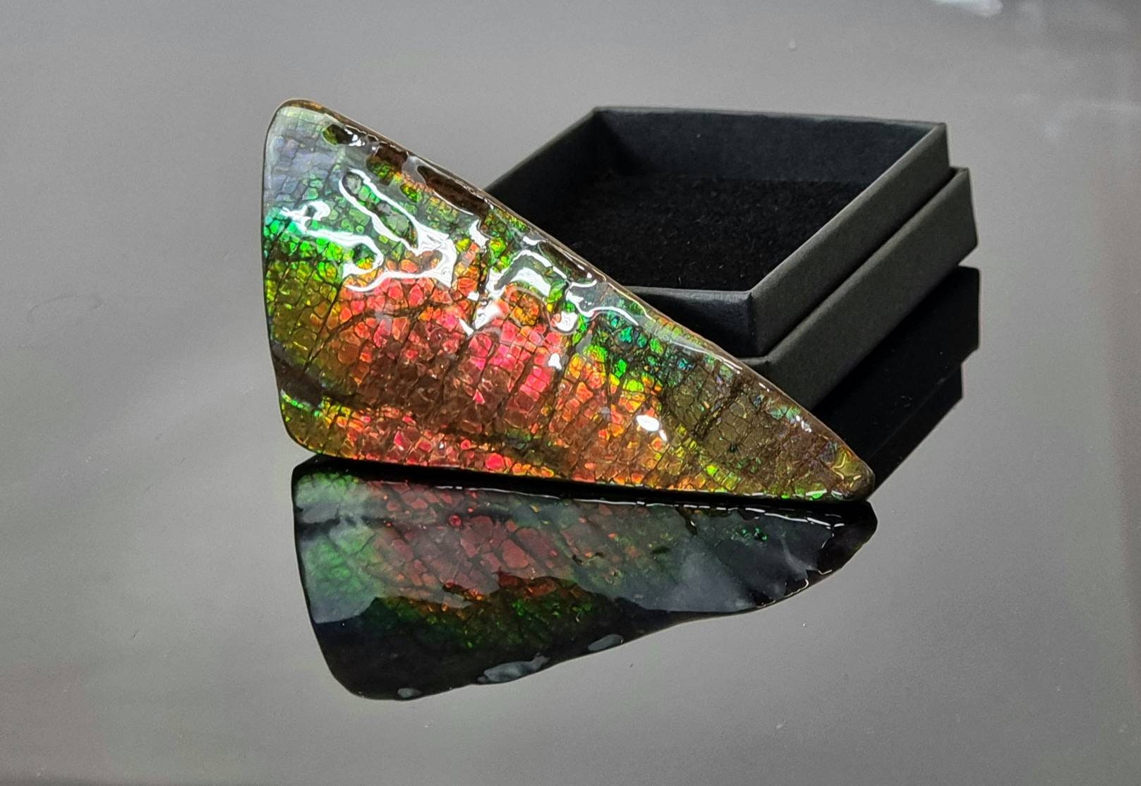 ammolite crystal gemstone canada