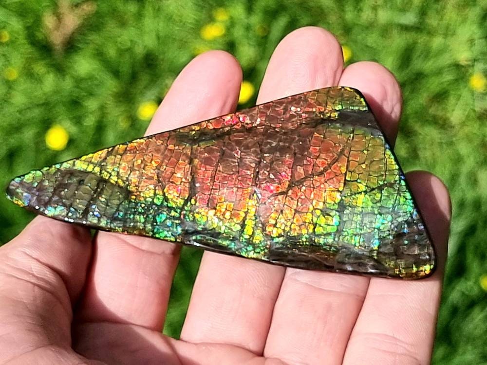 17ap) Ammolite Crystal Gemstone