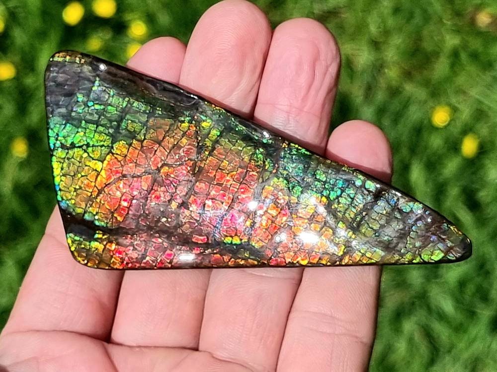 17ap) Ammolite Crystal Gemstone