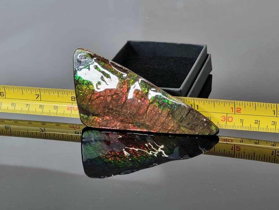 17ap) Ammolite Crystal Gemstone