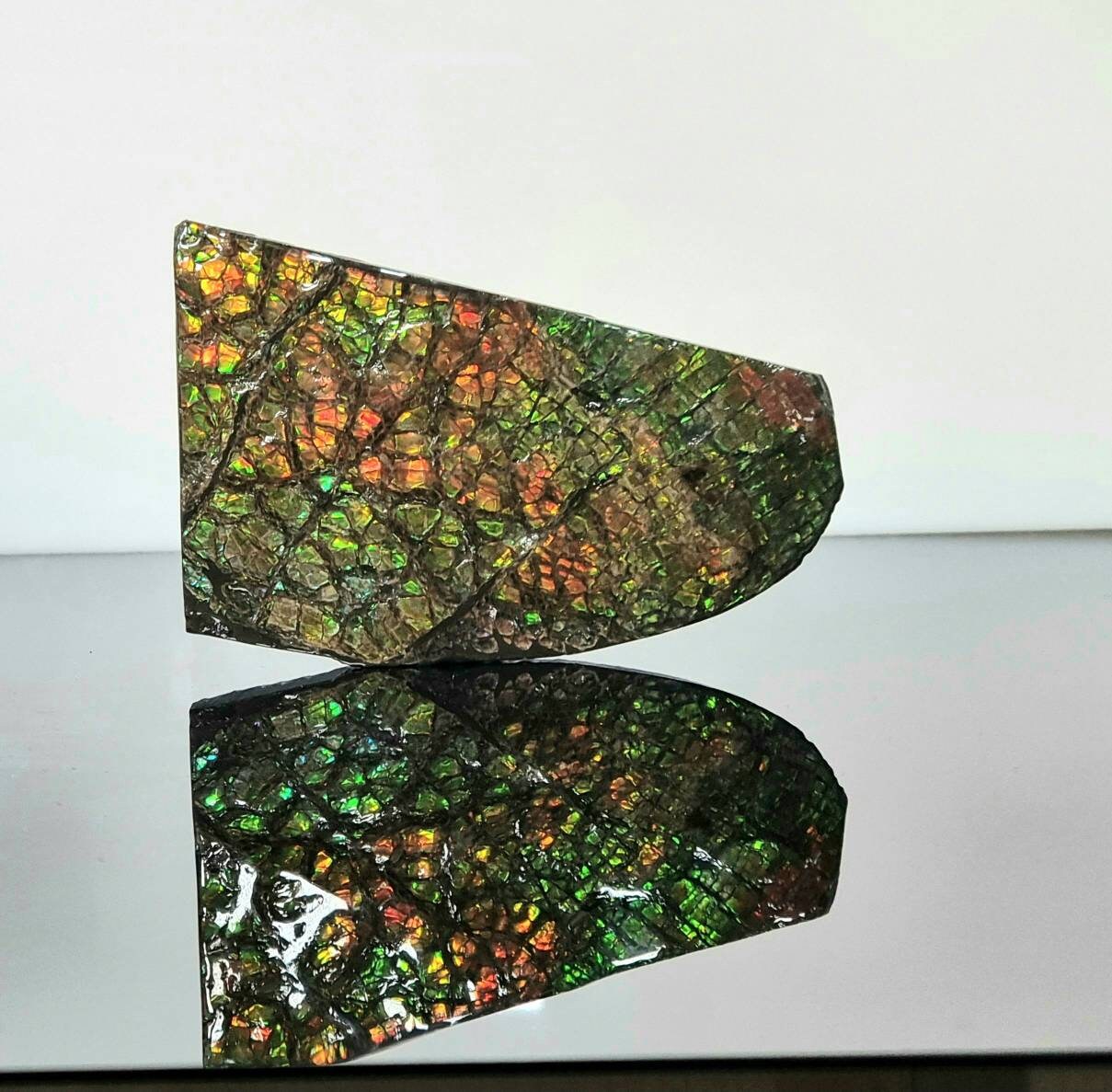 ammolite crystal gemstone canada