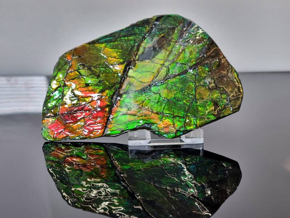 large rare ammolite crystal gemstone canada