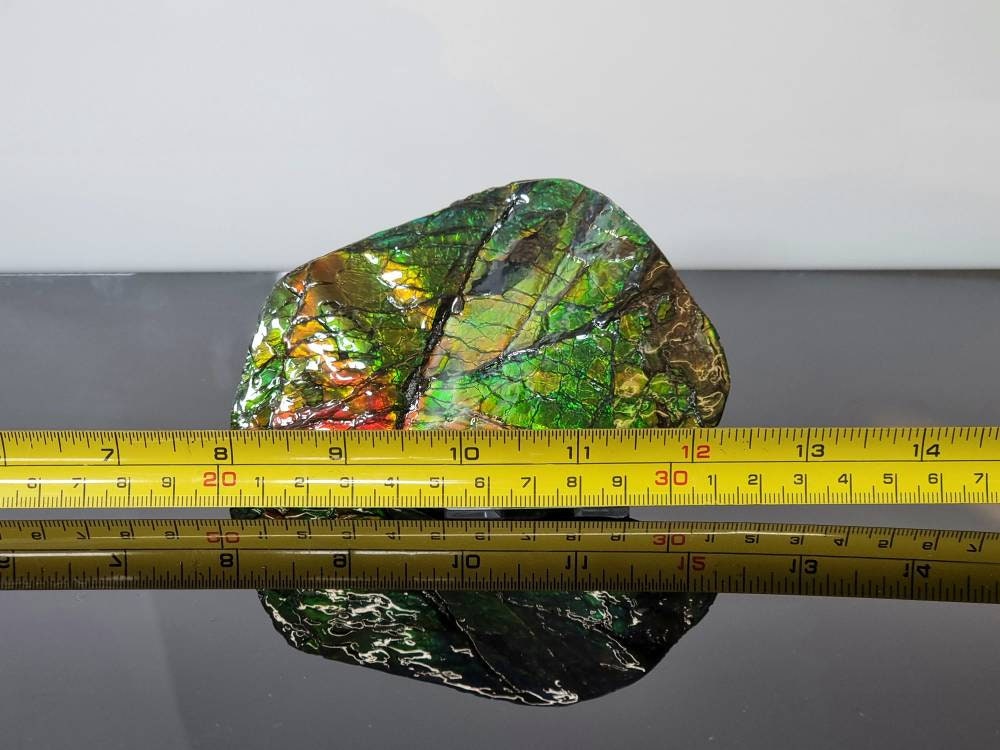 13ap) Ammolite Crystal Gemstone