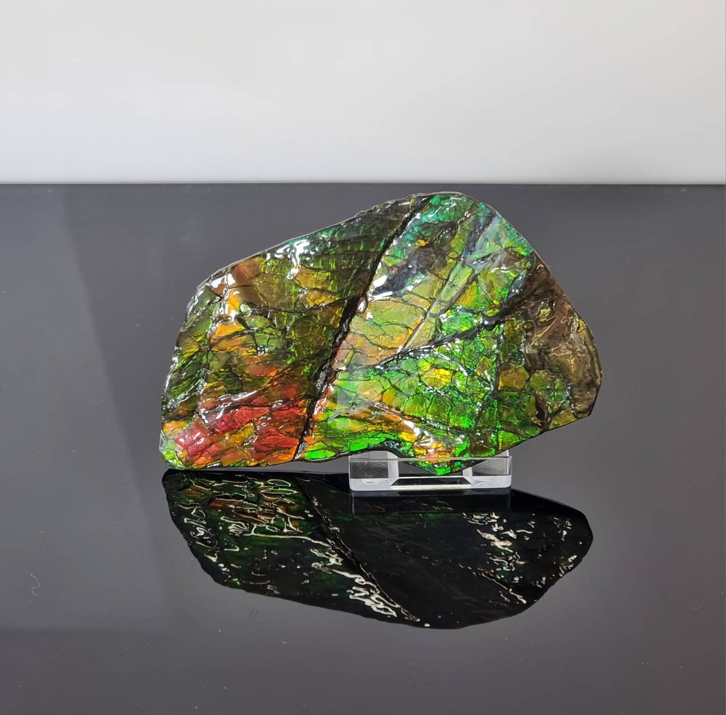 13ap) Ammolite Crystal Gemstone