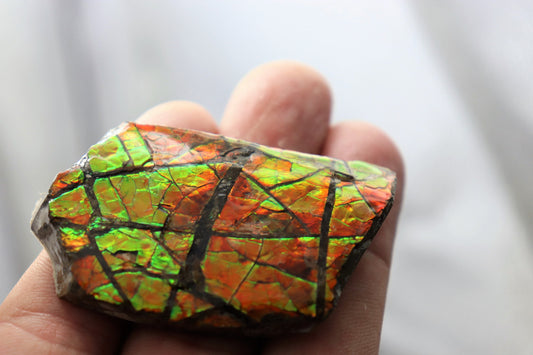 ammolite crystal gemstone canada