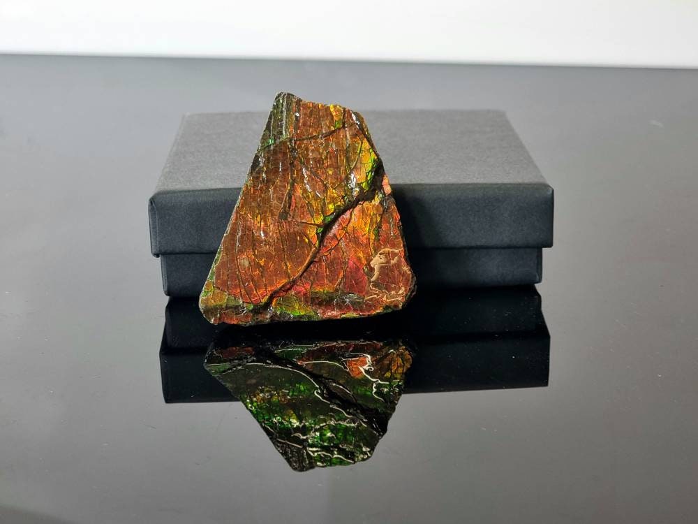 10ap) Ammolite Crystal Gemstone