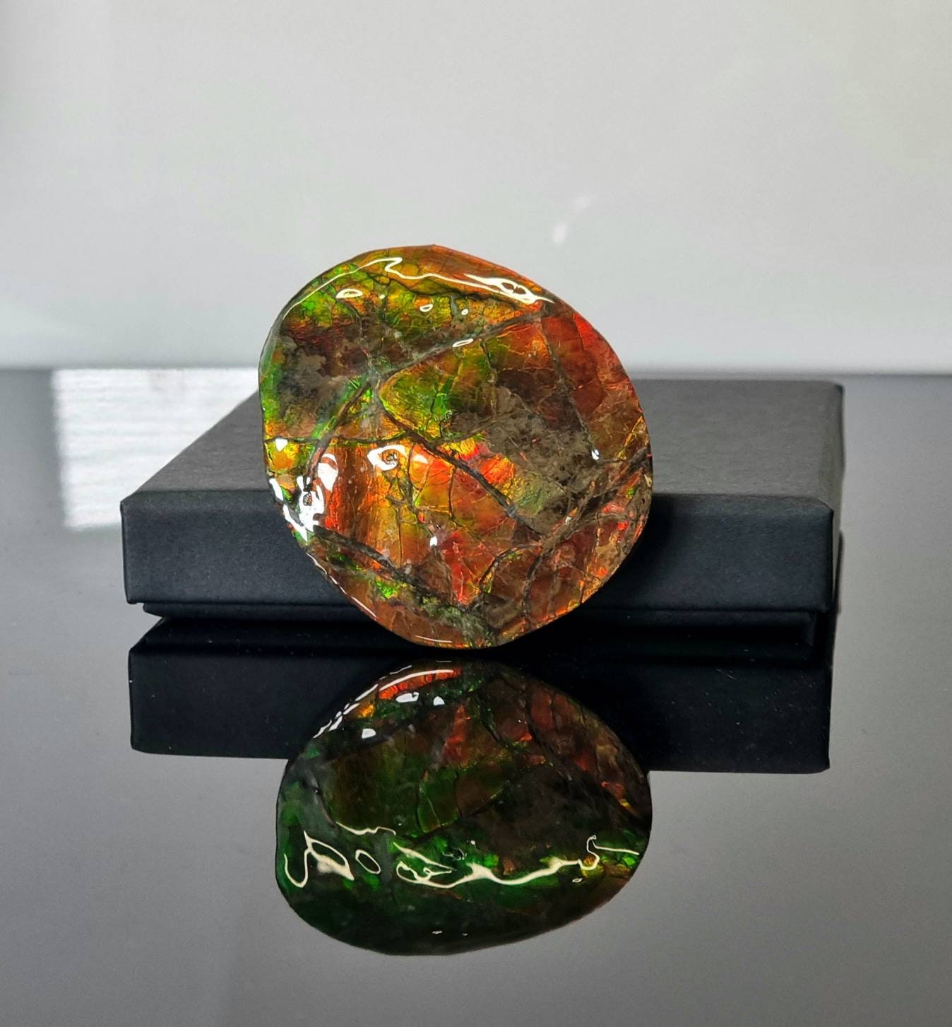 Large Ammolite Crystal Gemstone Canada ~ Opal Ammonite Fossil