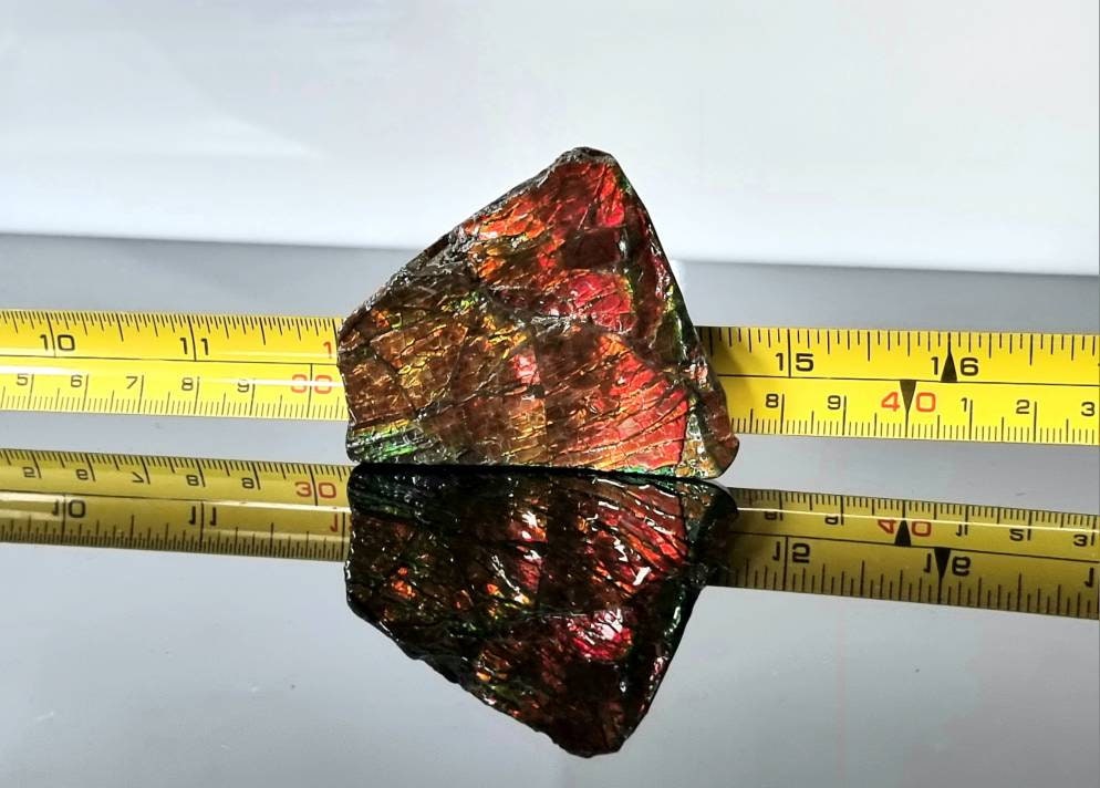 10ap) Ammolite Crystal Gemstone