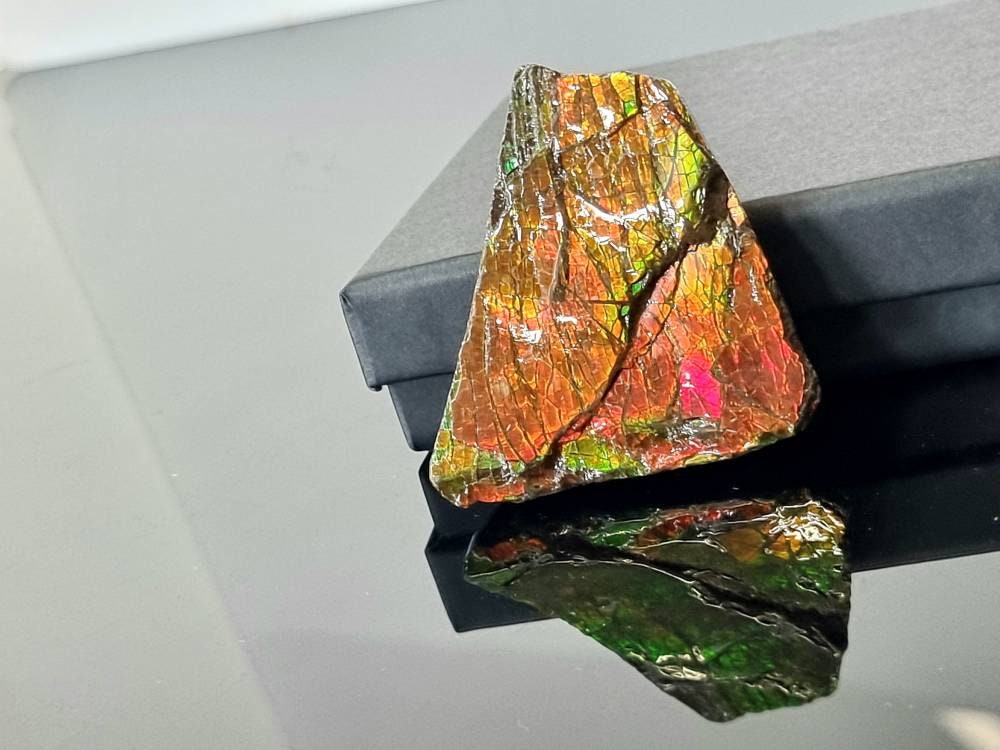 10ap) Ammolite Crystal Gemstone