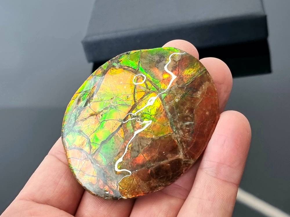 9ap) Ammolite Crystal Gemstone