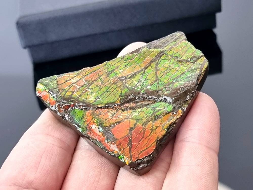 10ap) Ammolite Crystal Gemstone