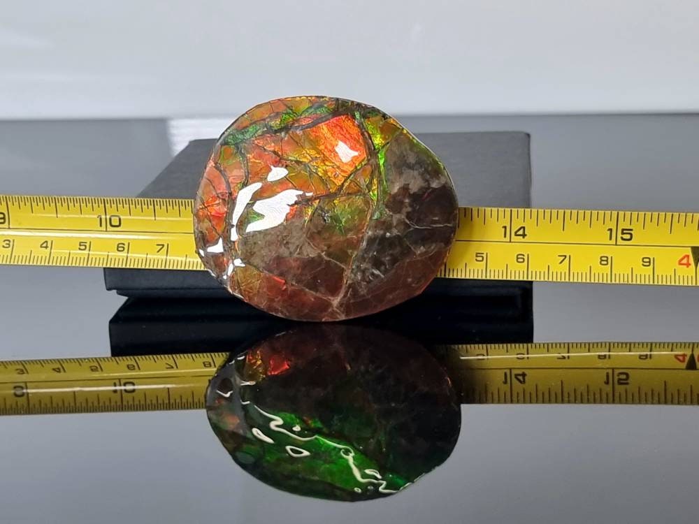 9ap) Ammolite Crystal Gemstone