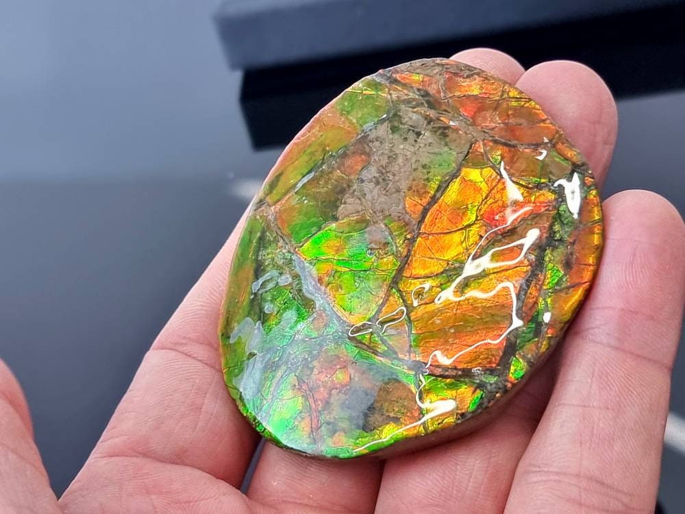 9ap) Ammolite Crystal Gemstone