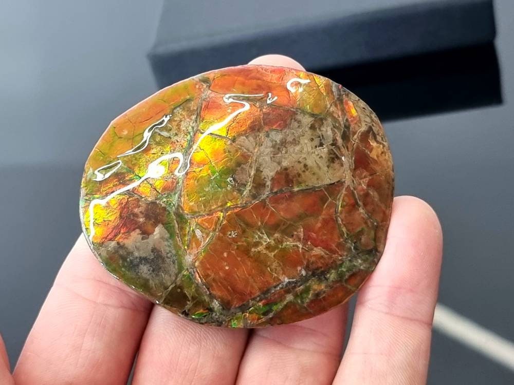 9ap) Ammolite Crystal Gemstone