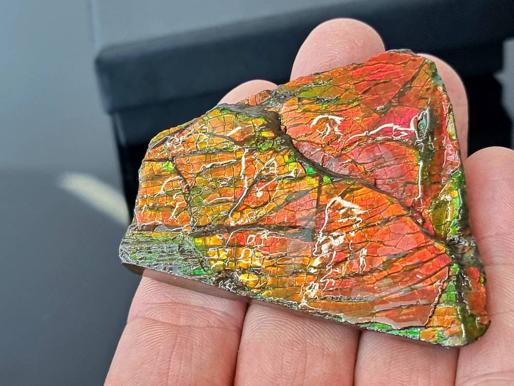 10ap) Ammolite Crystal Gemstone