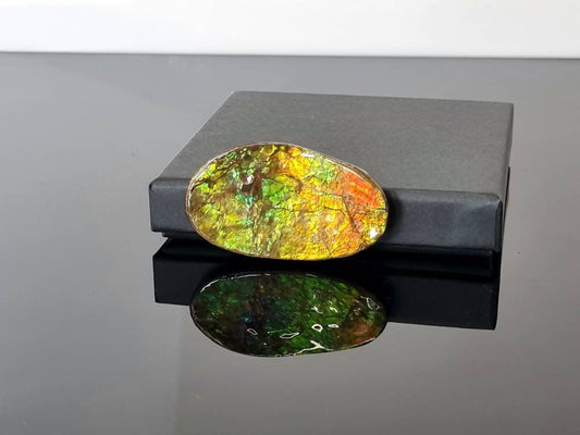 Large Ammolite Crystal Gemstone Canada ~ Opal Ammonite Fossil