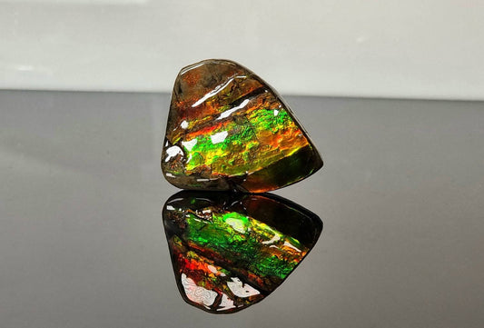 Large Ammolite Crystal Gemstone Canada ~ Opal Ammonite Fossil