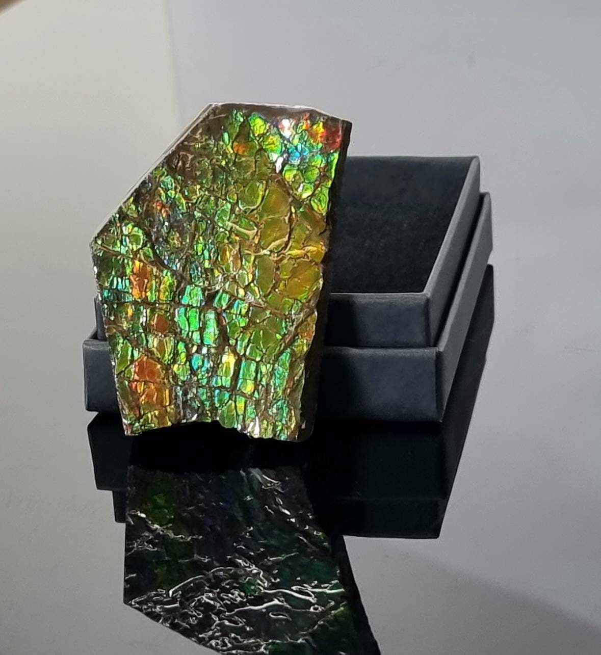 5ap) Ammolite Crystal Gemstone