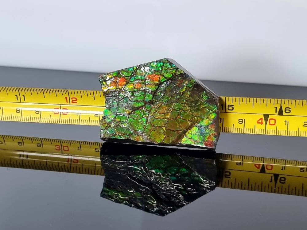 5ap) Ammolite Crystal Gemstone