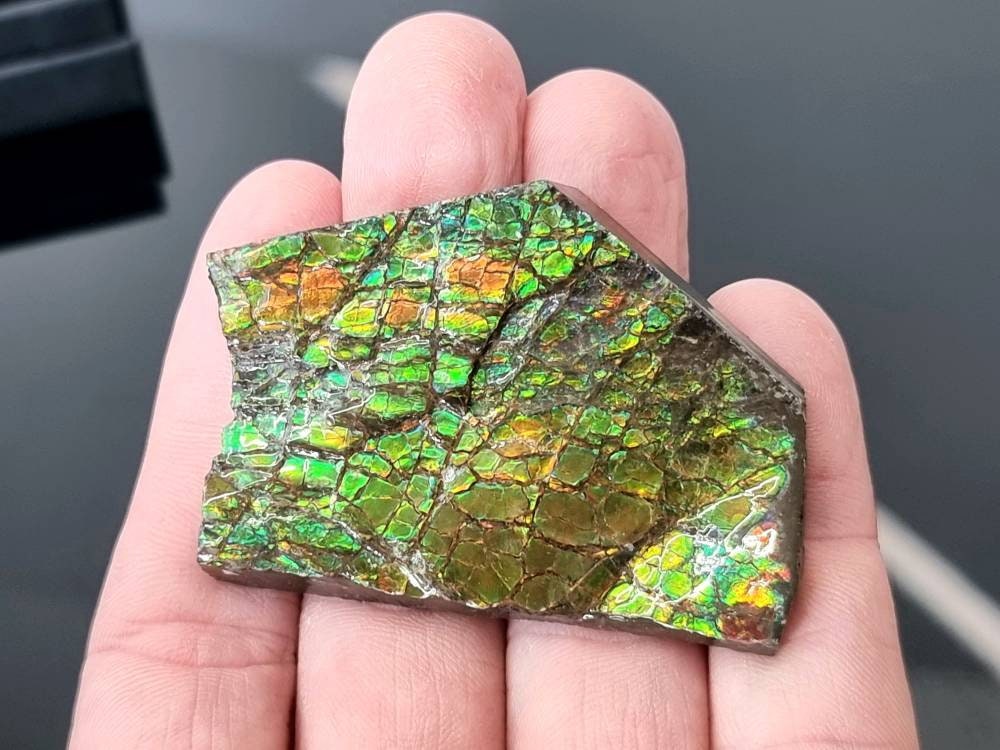 5ap) Ammolite Crystal Gemstone