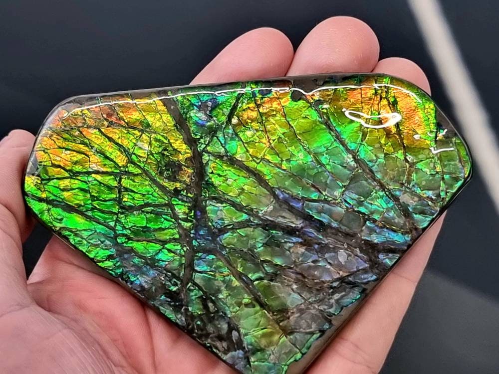 3ap) large Ammolite Crystal Gemstone