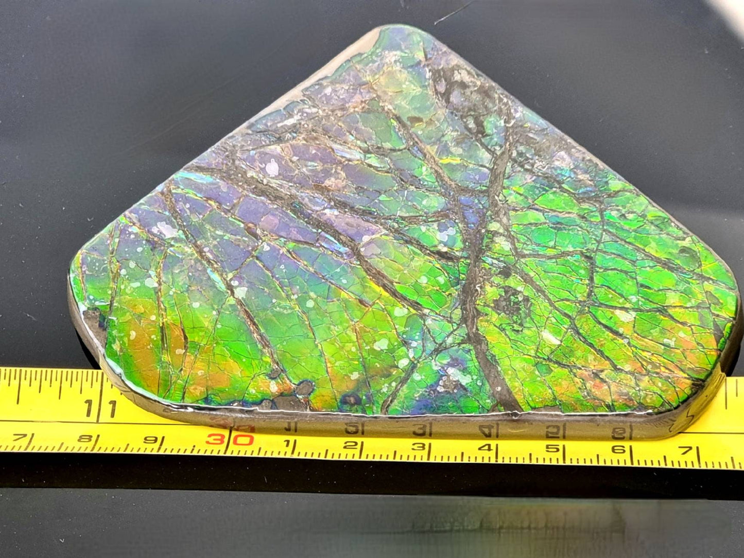 3ap) large Ammolite Crystal Gemstone