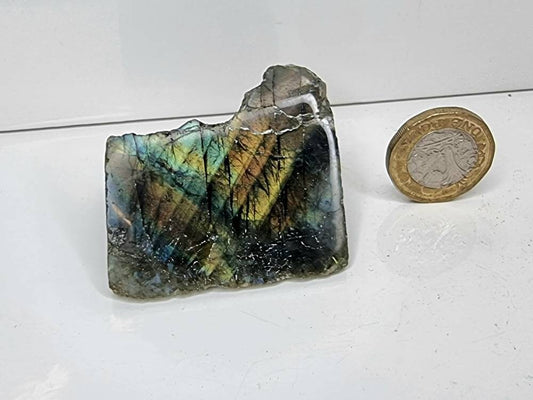 14LH) Labradorite Crystal Half Polished Slice