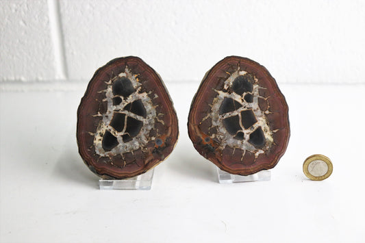 Large Septarian Crystal Polished Pair + Free Display Stands