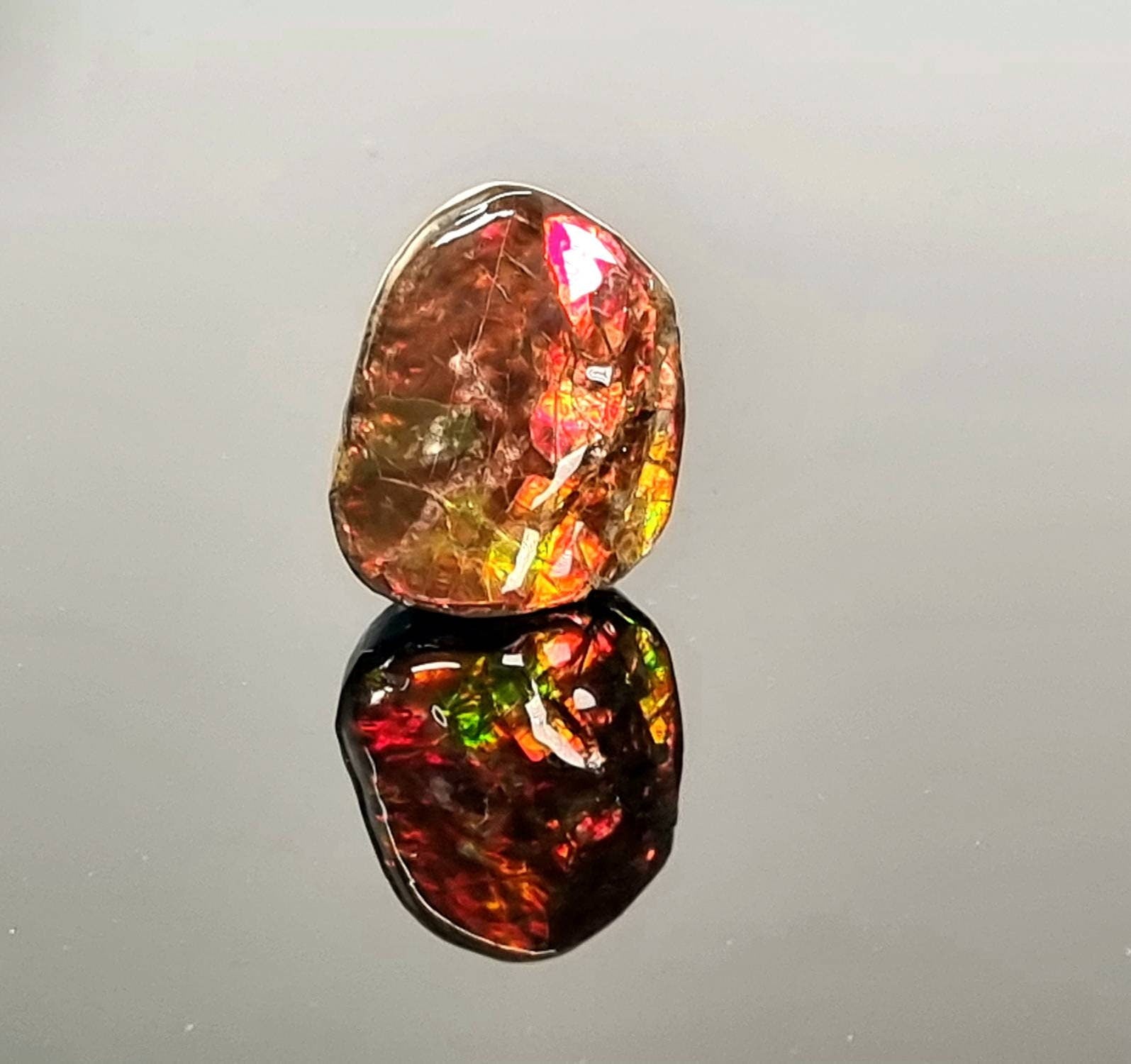 Large Ammolite Crystal Gemstone Canada ~ Opal Ammonite Fossil