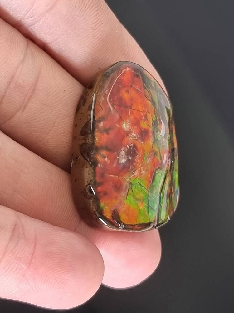 15am) Ammolite Crystal Gemstone