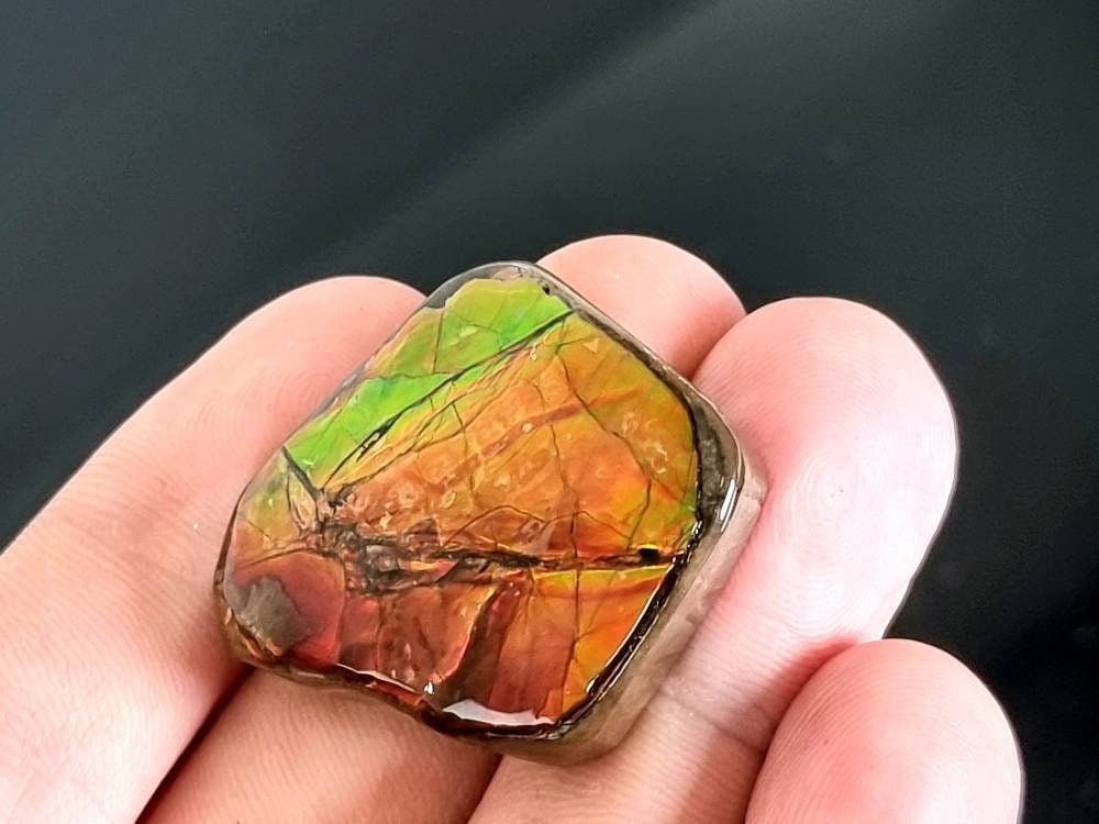 13am) Ammolite Crystal Gemstone