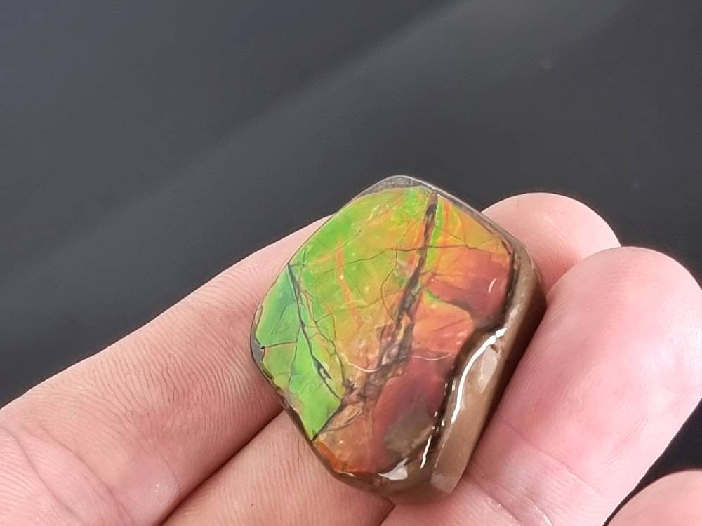 13am) Ammolite Crystal Gemstone