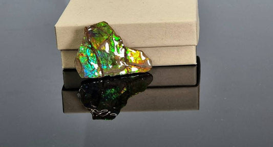 Large Ammolite Crystal Gemstone Canada ~ Opal Ammonite Fossil