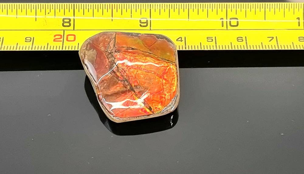 13am) Ammolite Crystal Gemstone