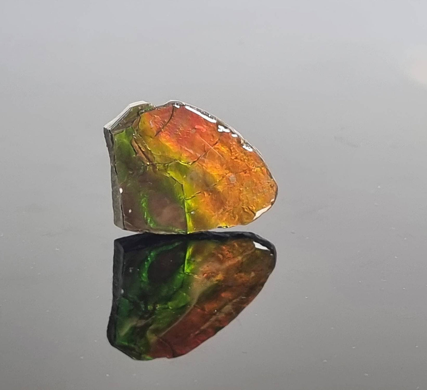 Large Ammolite Crystal Gemstone Canada ~ Opal Ammonite Fossil