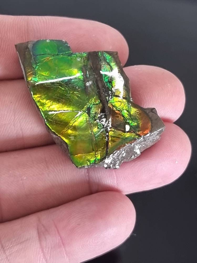 11am) Ammolite Crystal Gemstone