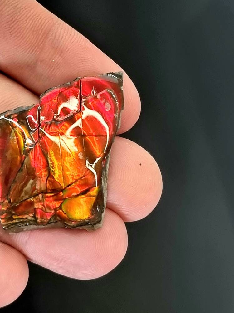 10am) Ammolite Crystal Gemstone