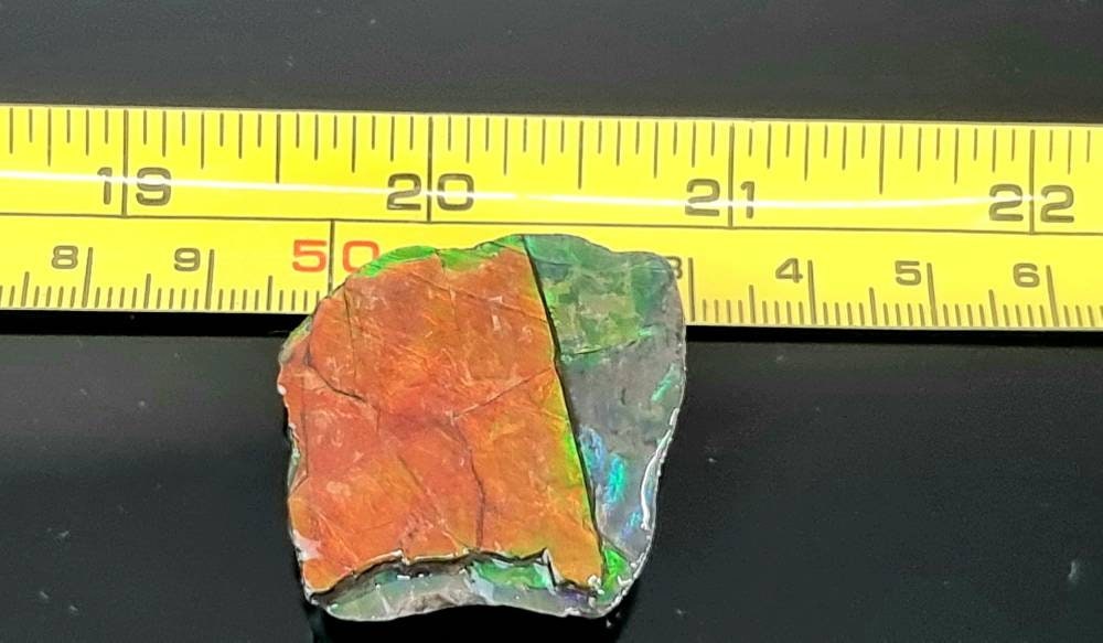 7am) Ammolite Crystal Gemstone