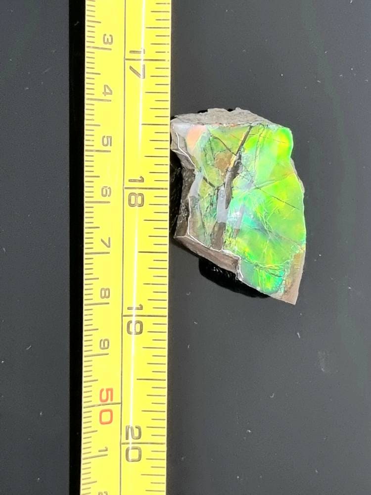 11am) Ammolite Crystal Gemstone