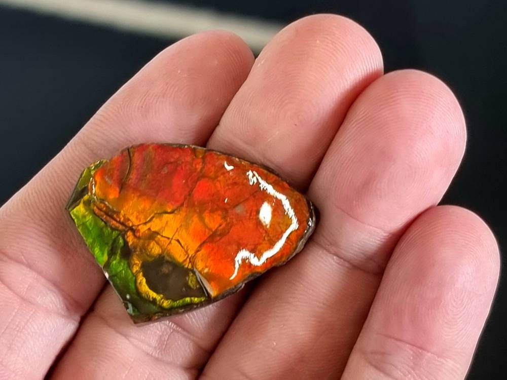 9am) Ammolite Crystal Gemstone